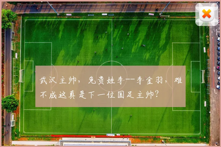 武汉主帅，免贵姓李--李金羽，难不成这真是下一位国足主帅？