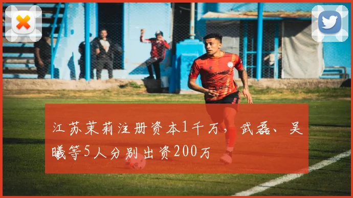 江苏茉莉注册资本1千万，武磊、吴曦等5人分别出资200万