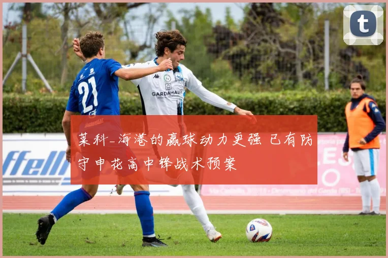 莱科_海港的赢球动力更强 已有防守申花高中锋战术预案