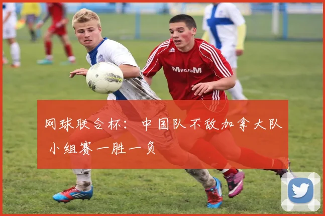 网球联合杯：中国队不敌加拿大队 小组赛一胜一负